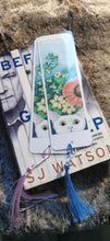 Printed, laminated bookmark, book mark, peeping tom cat bookmark.
