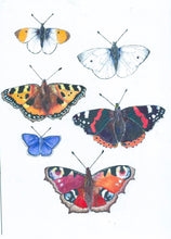 Original art work Phoenix Designs Butterfly stickers