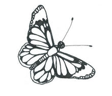 Colouring, Story book, Tiny Tales from around the Pond ( book 2 tiny Tales series)