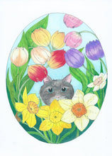 Adventures with Amorous Alfie, two new cross-stitch cats stories, colouring book, story book.