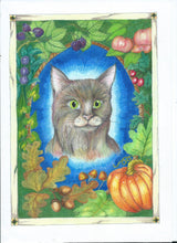 Unfinished Business with Ubiquitous Unwin, A Return to Perovia, colouring storybook