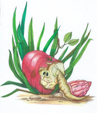 Colouring, Story book, Tiny Tales from around the Pond ( book 2 tiny Tales series)