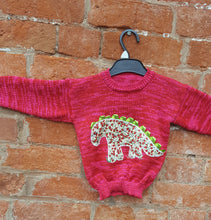 age 2-3 dino jumper