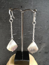 shell earrings