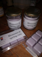 blossoms and spring rain wax melts
