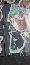 Stickers, set of 14 original photos of Cats, exclusive to Phoenix Designs