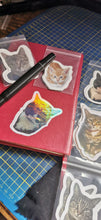 Stickers, set of 14 original photos of Cats, exclusive to Phoenix Designs