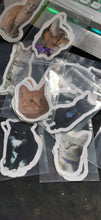 Stickers, set of 14 original photos of Cats, exclusive to Phoenix Designs