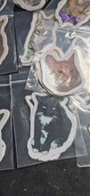 Stickers, set of 14 original photos of Cats, exclusive to Phoenix Designs