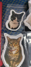 Stickers, set of 14 original photos of Cats, exclusive to Phoenix Designs