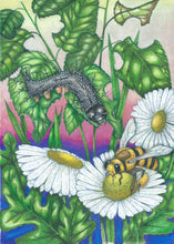 PRE ORDER: Tiny Tales book 4, Tales from the Forest Path