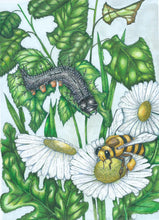 PRE ORDER: Tiny Tales book 4, Tales from the Forest Path