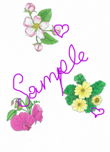 Stickers, set of 13 floral stickers, exclusive to Phoenix Designs, hand drawn original designs.