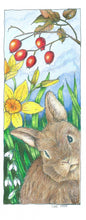 Tiny Tales book 5 From Meadow to Barn