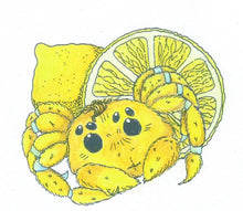 PRE ORDER: Tiny Tales book 4, Tales from the Forest Path