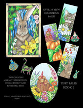 Tiny Tales book 5 From Meadow to Barn