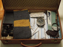 the suitcase from fantastic beasts featuring my scarf