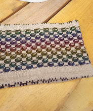 reversible ski cowl
