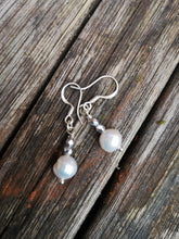 Forever freshwater pearl earrings