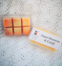 Clam shell pods, wax melts in scent intense soy wax 100g approximate weight